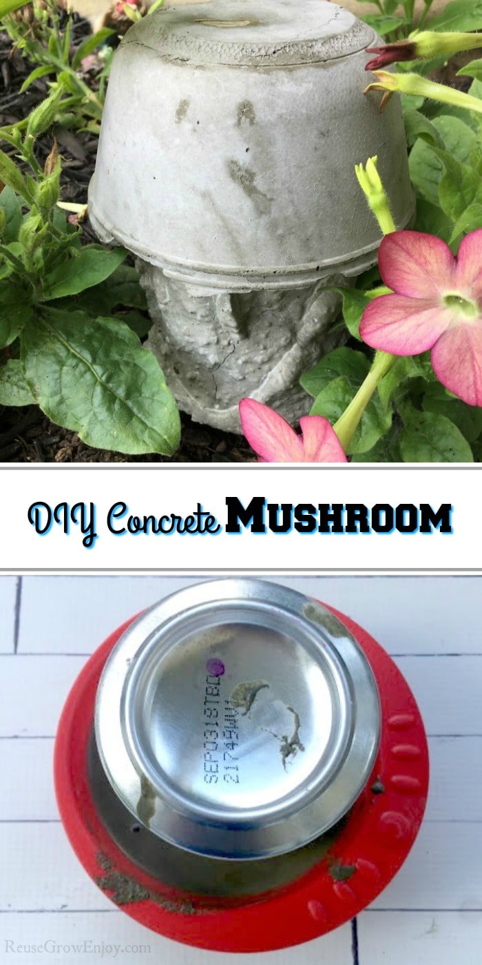 If you like mushrooms and are looking to add a little art to your garden, this is a project for you. See how to make this DIY concrete mushroom. It's easy!