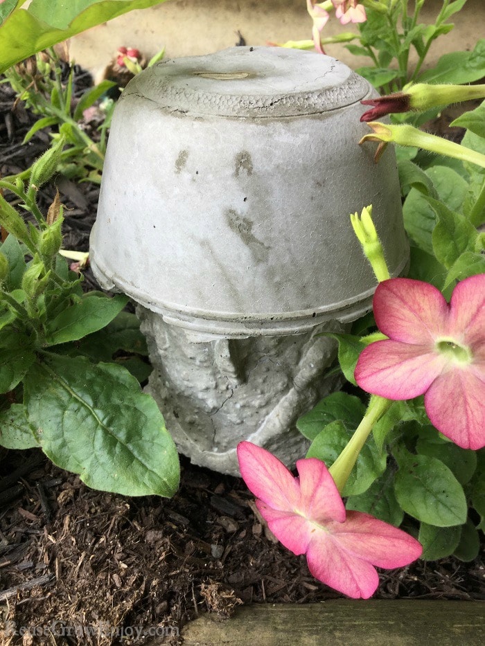 DIY Concrete Mushroom - Reuse Grow Enjoy