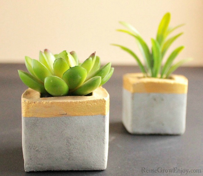 Need some new planters? If you are looking for some you can make at home and want them to be stylish, I have just the thing. I will show you how to make these DIY concrete planters using recycled cartons.