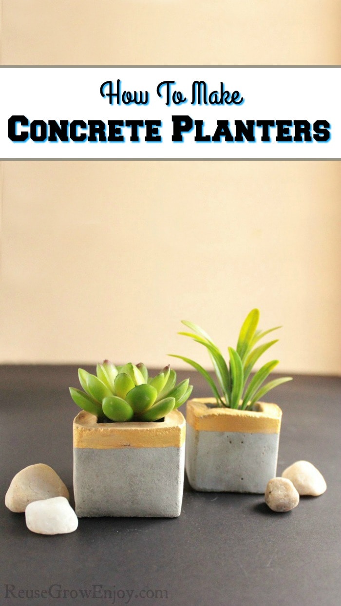 Need some new planters? If you are looking for some you can make at home and want them to be stylish, I have just the thing. I will show you how to make these DIY concrete planters using recycled cartons.