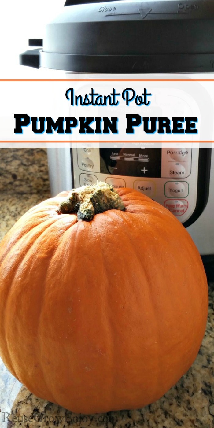 Small whole pumpkin on the counter in front of an Instant Pot with a white text overly that says "Instant Pot Pumpkin Puree"