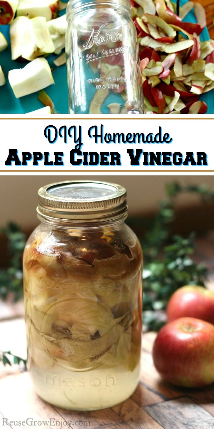 Apple cider vinegar is so handy to keep on hand. It has amazing benefits. Did you know that you can make DIY homemade apple cider vinegar super easy at home??