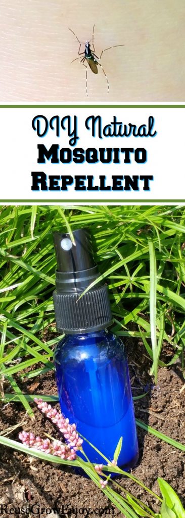 DIY Natural Mosquito Repellent