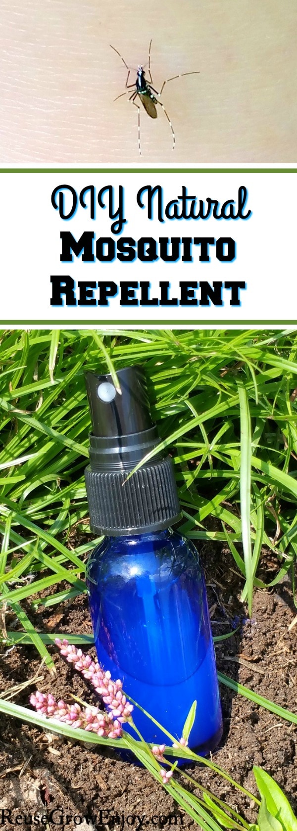 When you go outside do you get eaten up by mosquitos? Check out this DIY natural mosquito repellent to get some relief and enjoy the outdoors again!