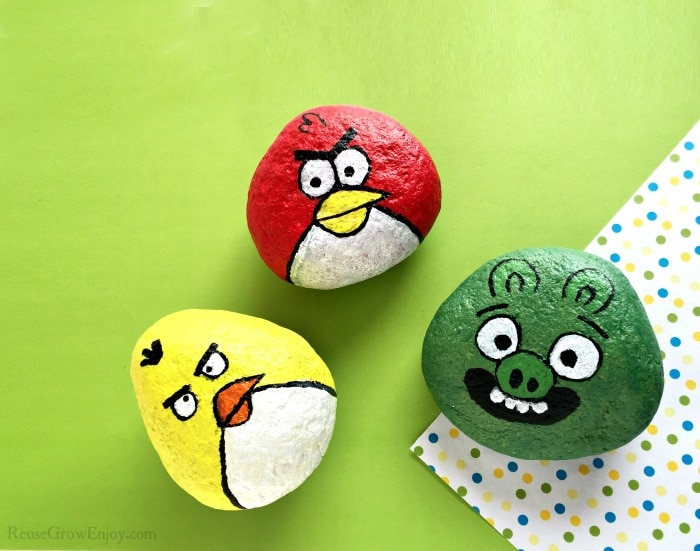 DIY Rock Painting Angry Birds Reuse Grow Enjoy