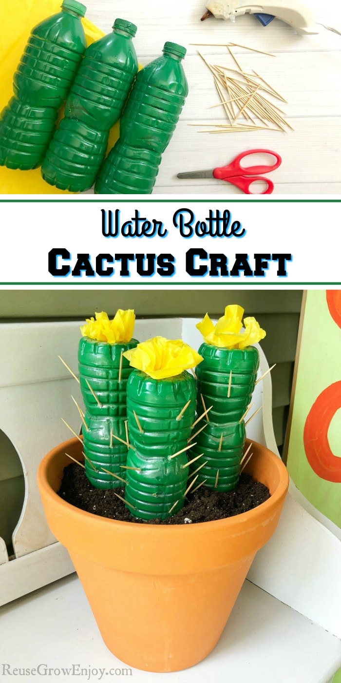 Do you love the look of a cactus? If you are looking for a fun and easy project to add a little cactus decor to your home, check out this water bottle cactus craft!