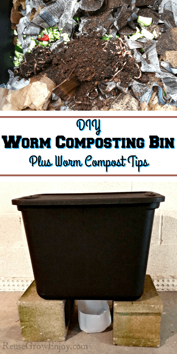 Worms in the compost at the top. Bottom is the made bin from a tote. In the middle there is a text overlay that says DIY Worm Composting Bin Plus Worm Compost Tips