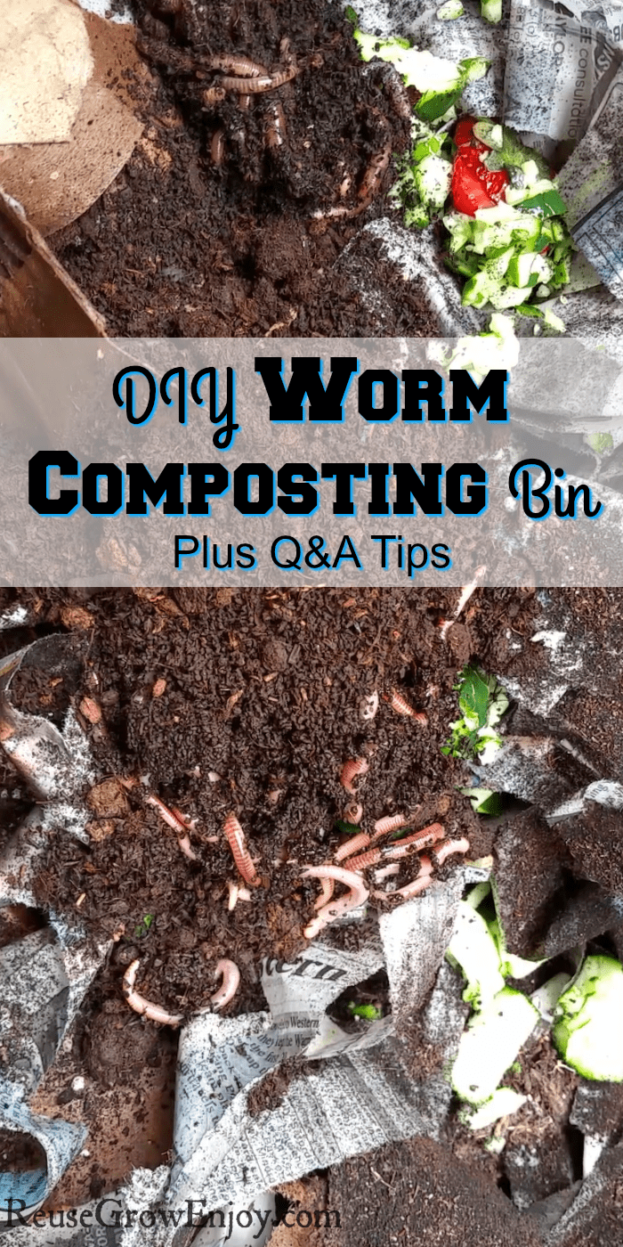 Worm compost bin with dirt, scraps and worms. Text overly in the middle.