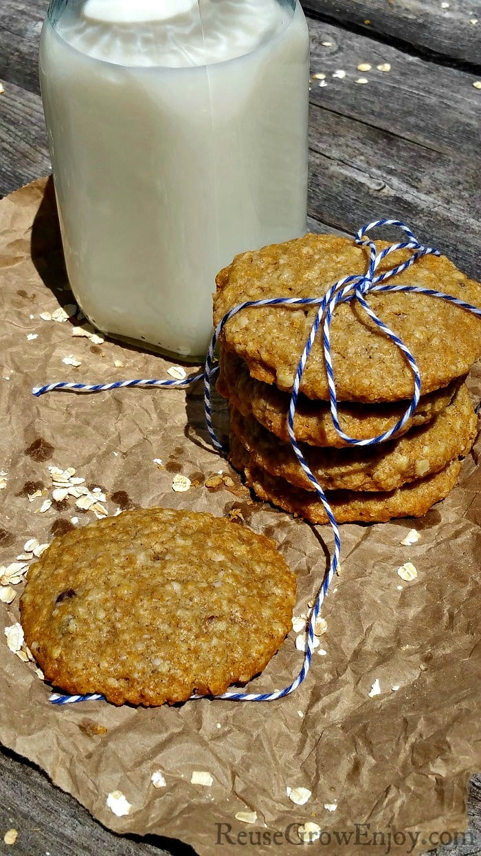 Sugar Free Dairy Free Oatmeal Raisin Cookies Reuse Grow Enjoy