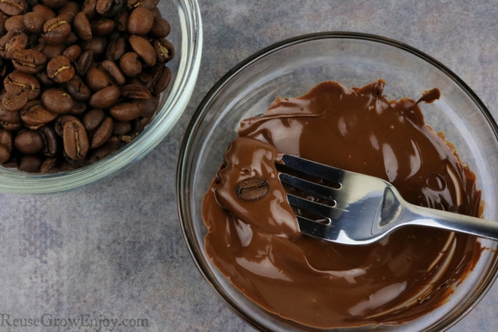 Dip beans in melted chocolate