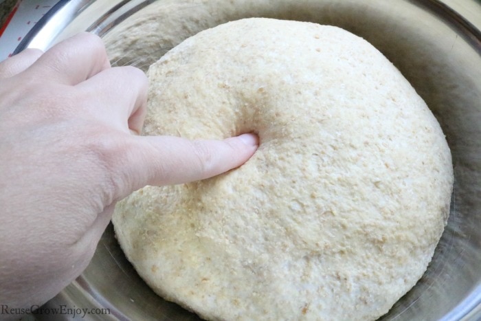 Dough doubled in size with hand poking dough