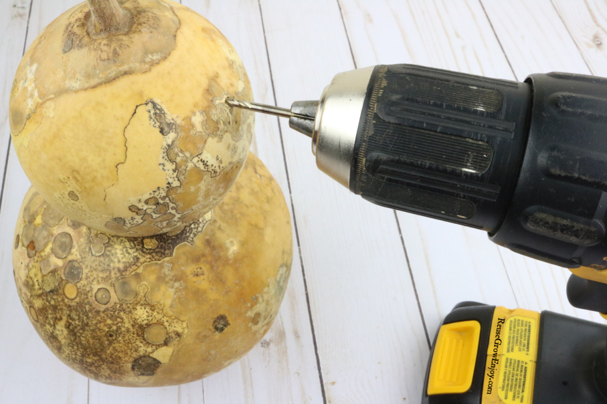 Drill making a hole in the upper side of the dried gourd