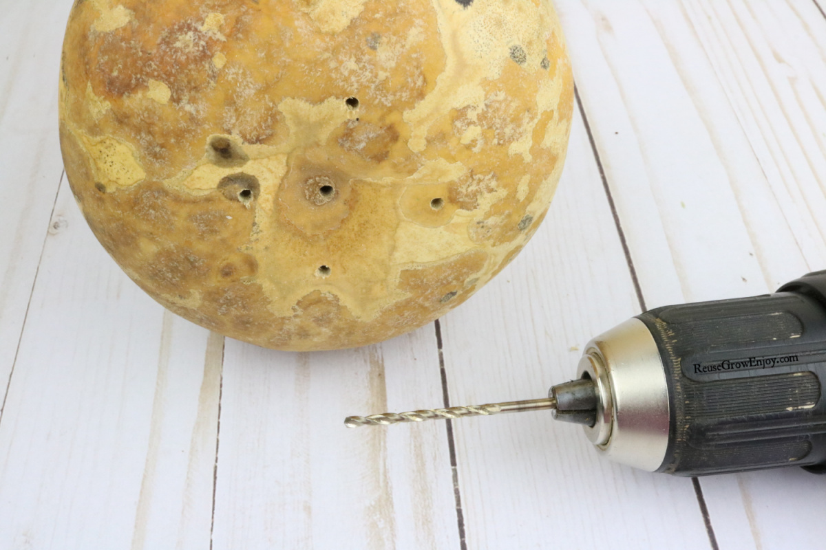 Small holes drilled in bottom of gourd with drill to the side