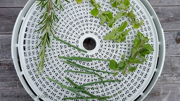 How To Dry Herbs
