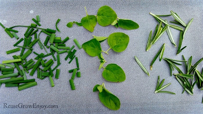 How To Dry Herbs