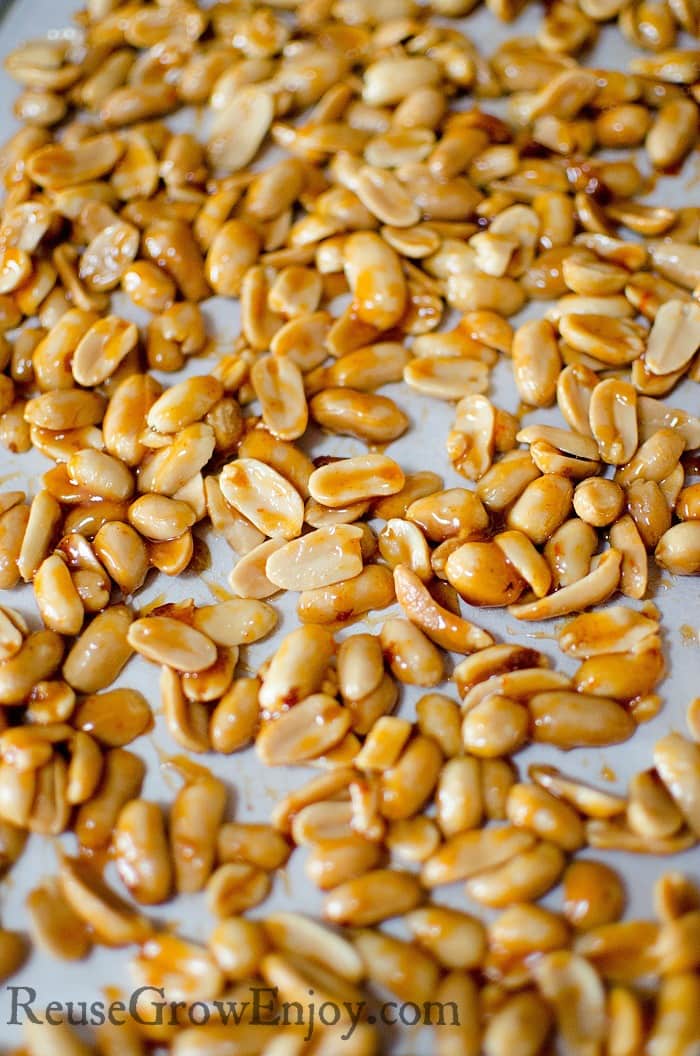 dry-nuts-on-cookie-sheet
