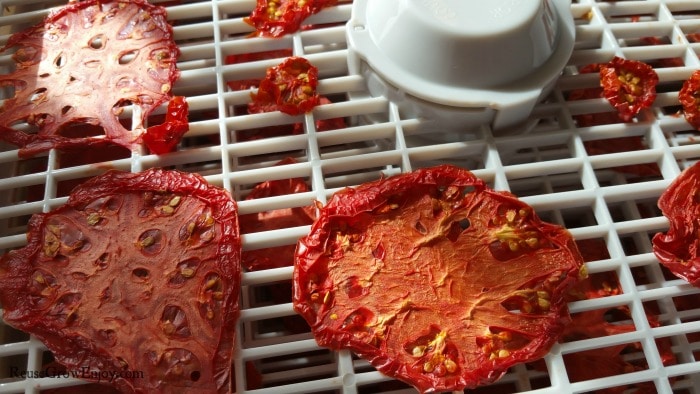 Dry tomatoes on drying rack