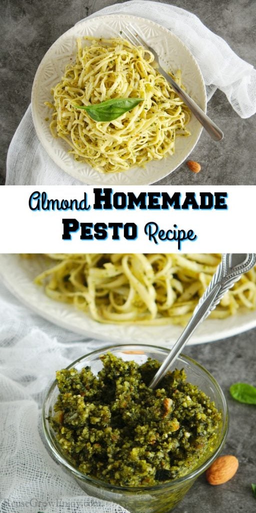 Almond Homemade Pesto Recipe - Reuse Grow Enjoy