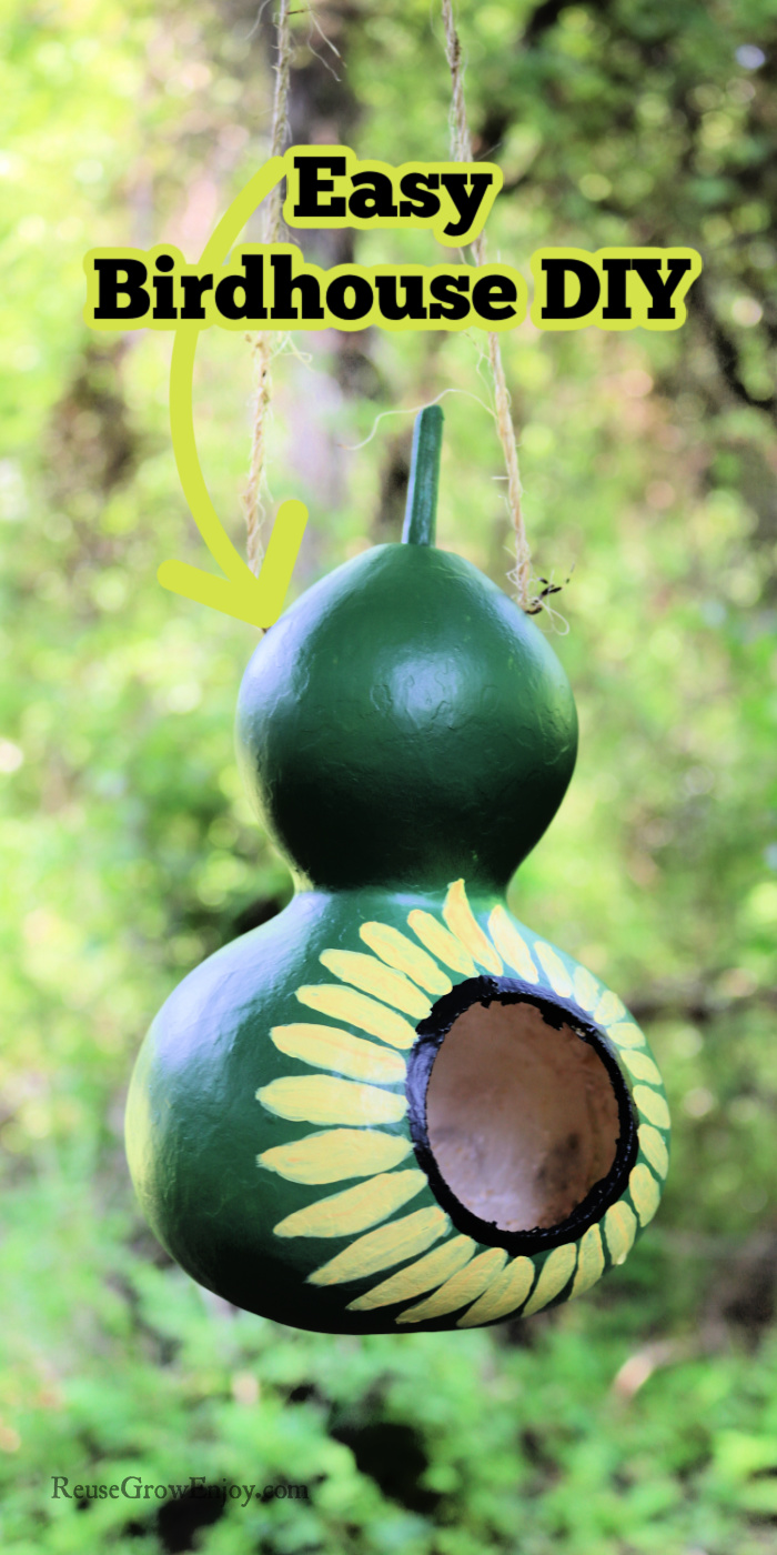 Painted gourd birdhouse hanging from tree. Text overlay at the top that says Easy Birdhouse DIY