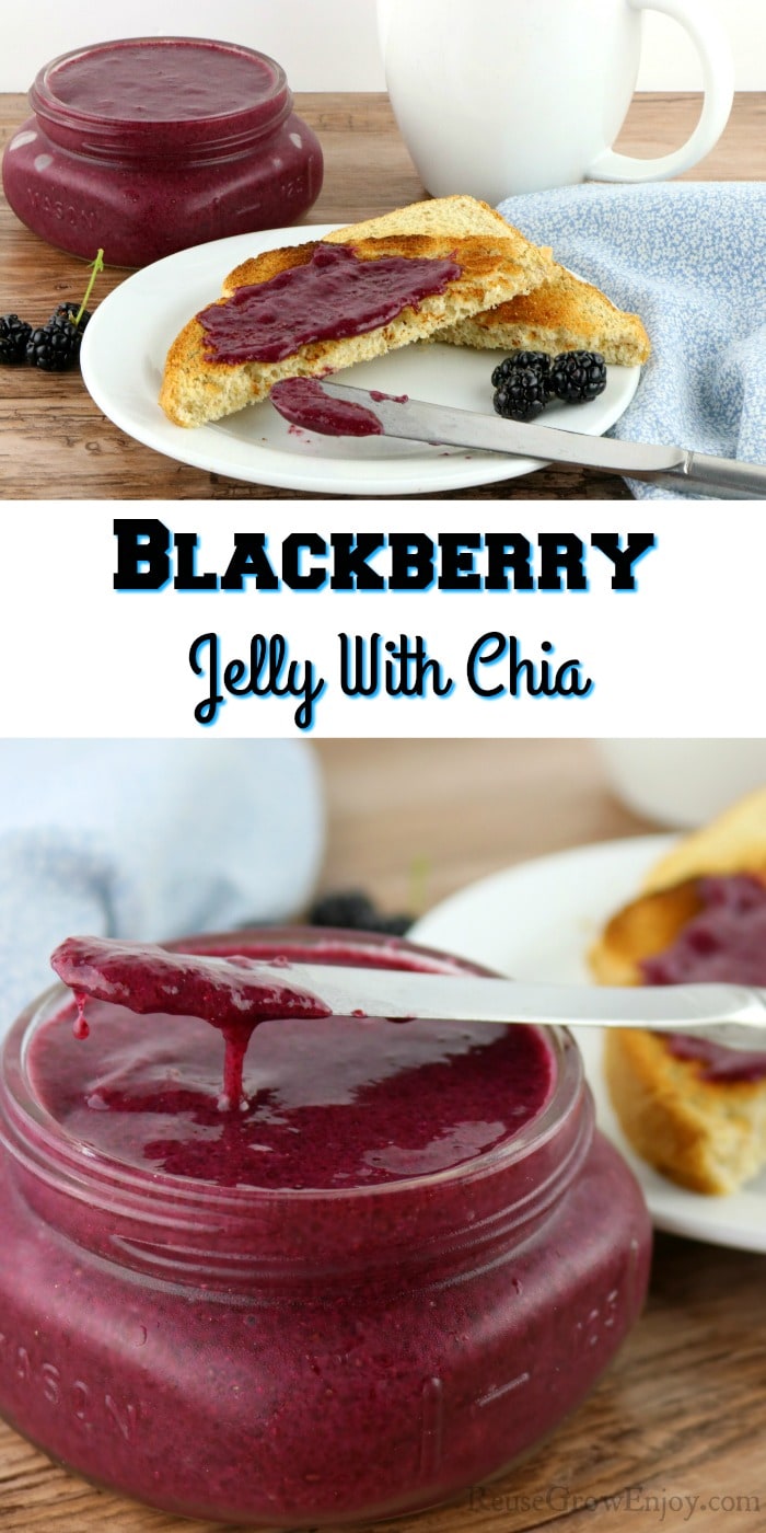 Toast with jelly on white plate at top. Bottom is glass jar of jelly. Middle is a text overlay that says "Blackberry Jelly With Chia"