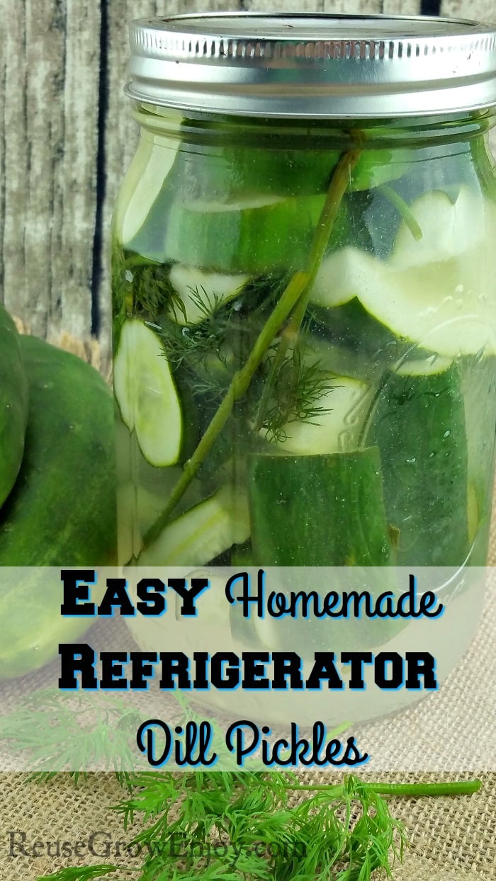 Easy Homemade Refrigerator Dill Pickles