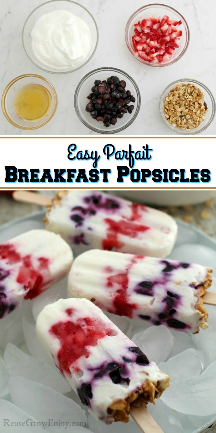 Ever need to grab something for breakfast and run out the door? Maybe it is a hot day and you don't want a hot meal? Try these tasty and easy Parfait Breakfast Popsicles!