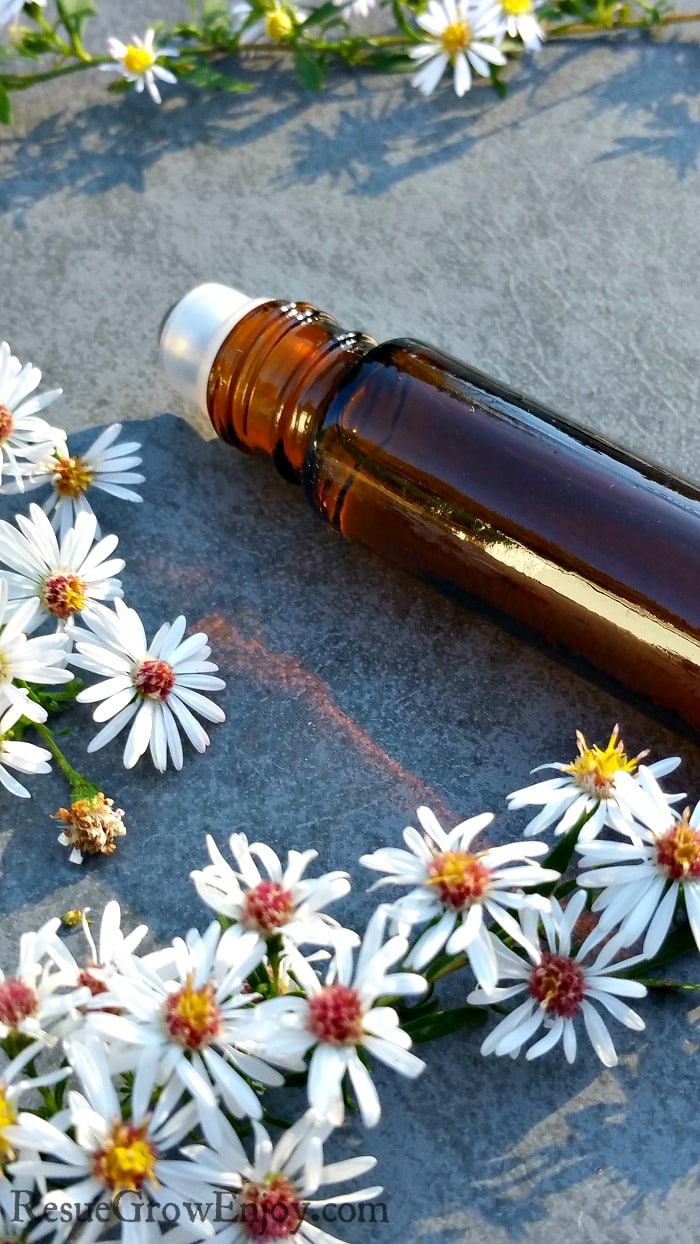 Brown essential oil roller bottle with lots of little white flowers around it.