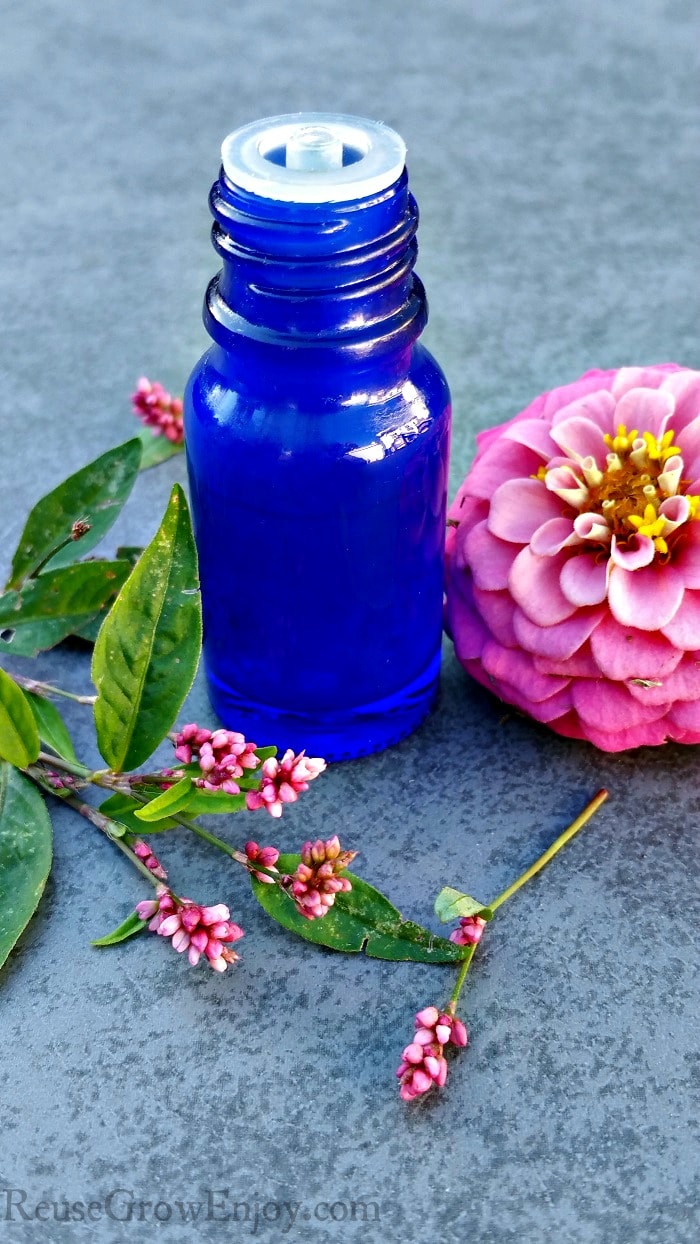 Small blue essential oil bottle on gray background with pink flowers around it.