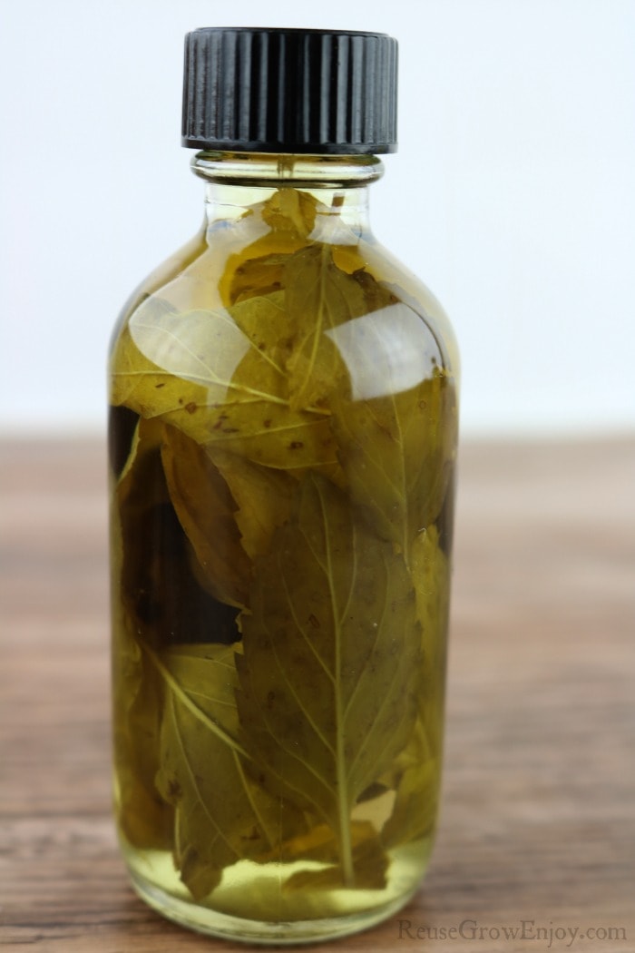 Faded mint leaves in glass bottle with liquid and black cap