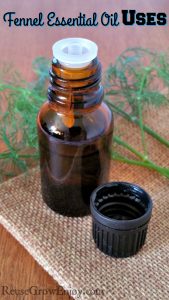 Fennel Essential Oil Uses for Women’s Health