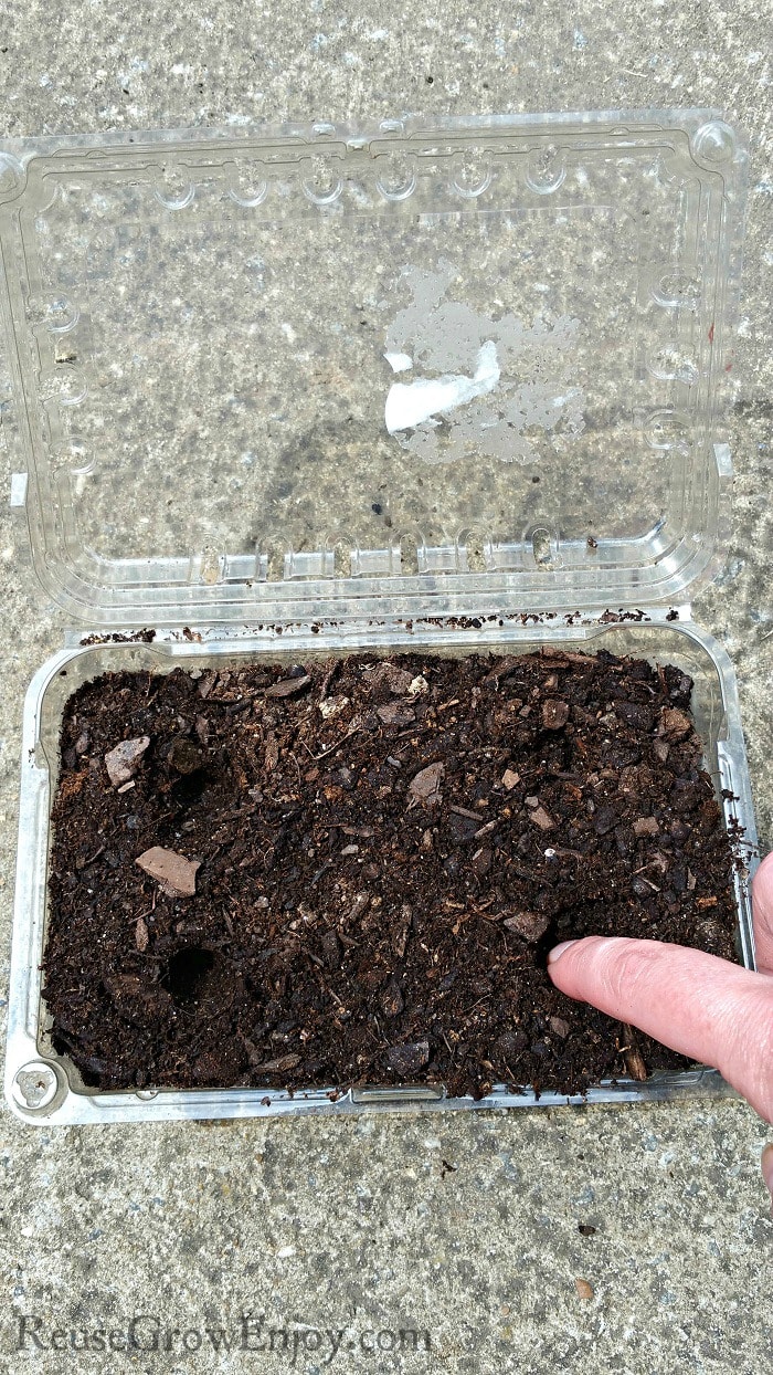 Finger making holes in dirt