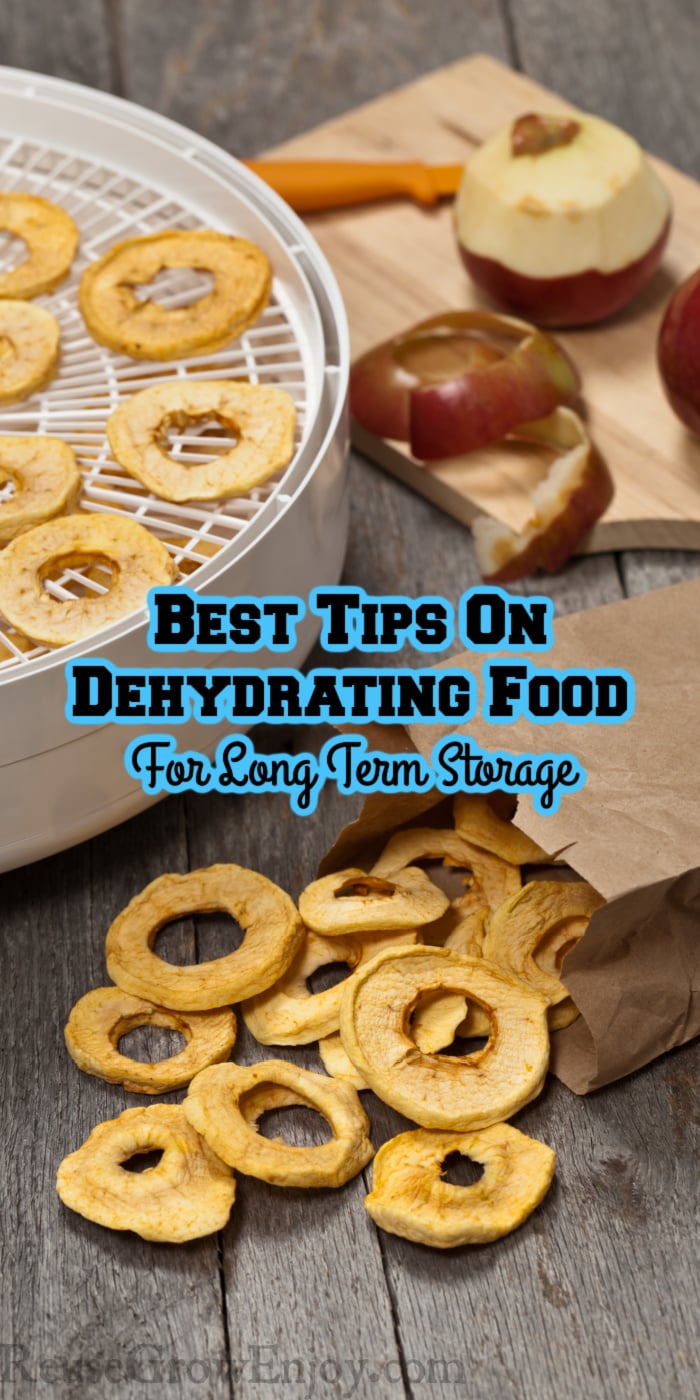 Dried apple slices on food dehydrater in background with fresh apples to the side. In front is dried apple rings in brown paper bag. Text overlay in middle that says Best Tips On Dehydrating Food For Long Term Storage.