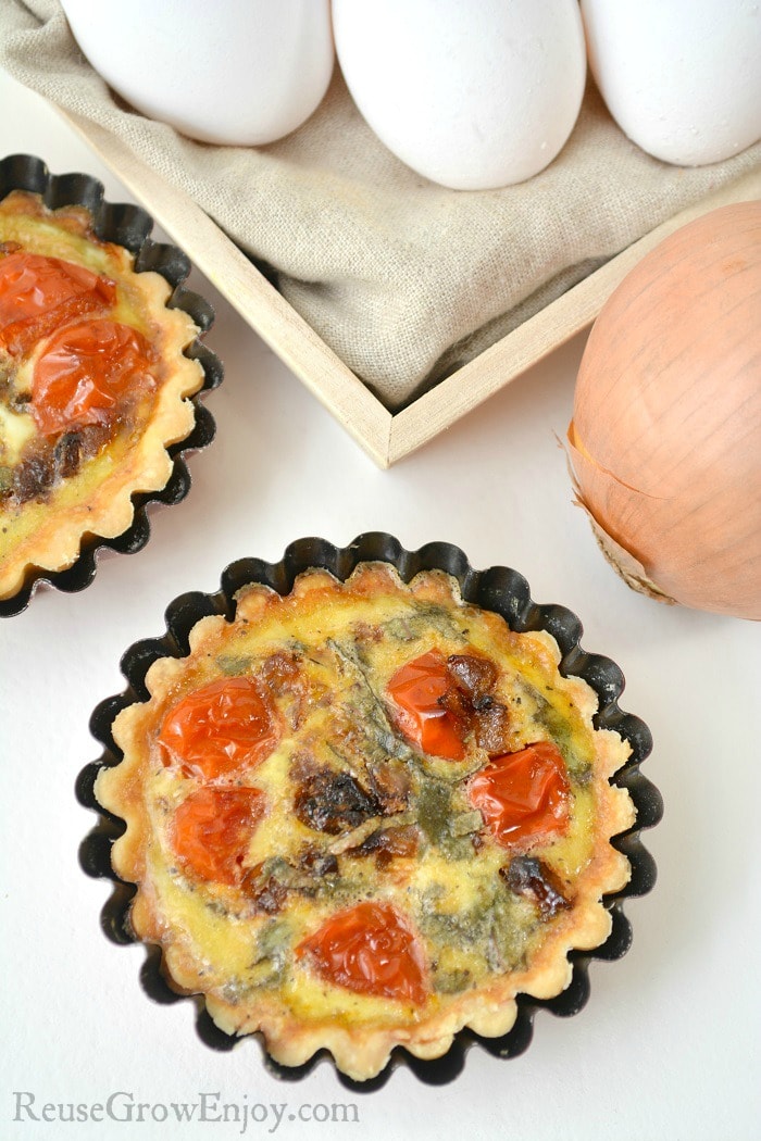 Mini tarts make for a great snack or even to serve as an appetizer. This goat cheese and tomato mini tarts recipe is not only super tasty, it's healthy!