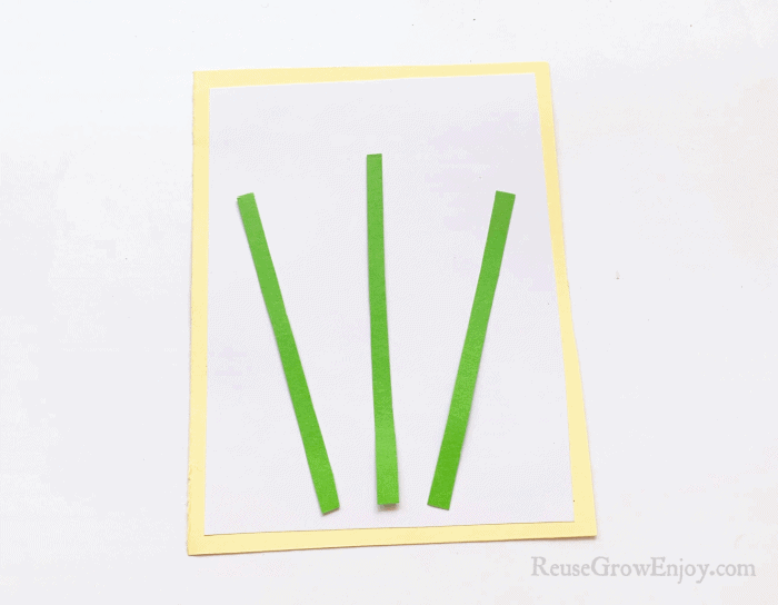 Green strips on white and yellow paper