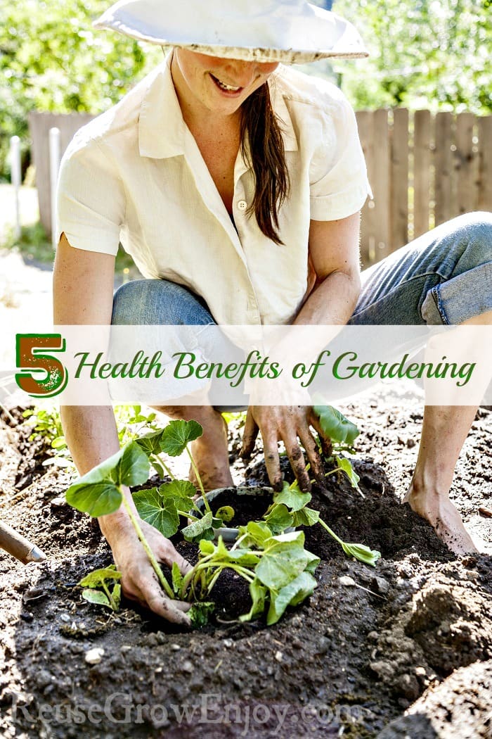 Health Benefits of Gardening