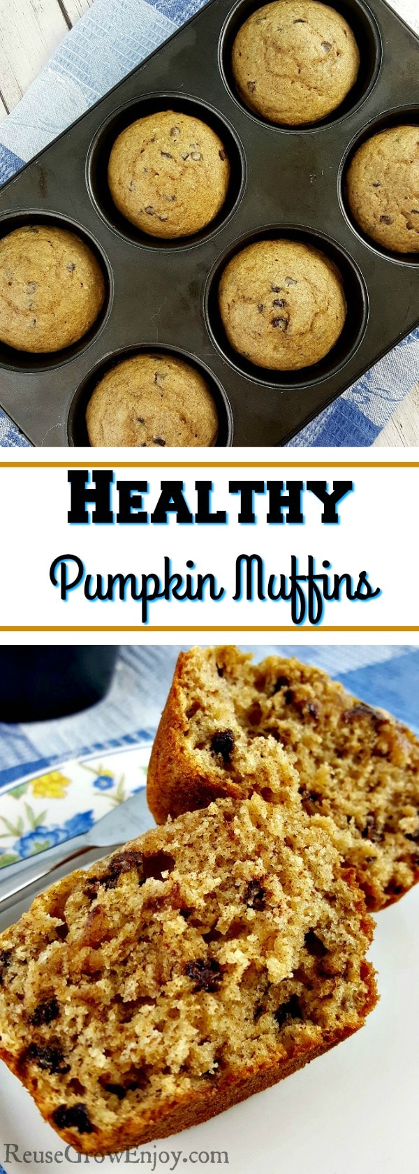 Love the taste of pumpkin but are trying to eat healthy? Check out this yummy recipe for healthy pumpkin muffins!