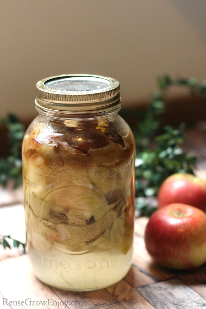 Apple cider vinegar is so handy to keep on hand. It has amazing benefits. Did you know that you can make DIY homemade apple cider vinegar super easy at home??