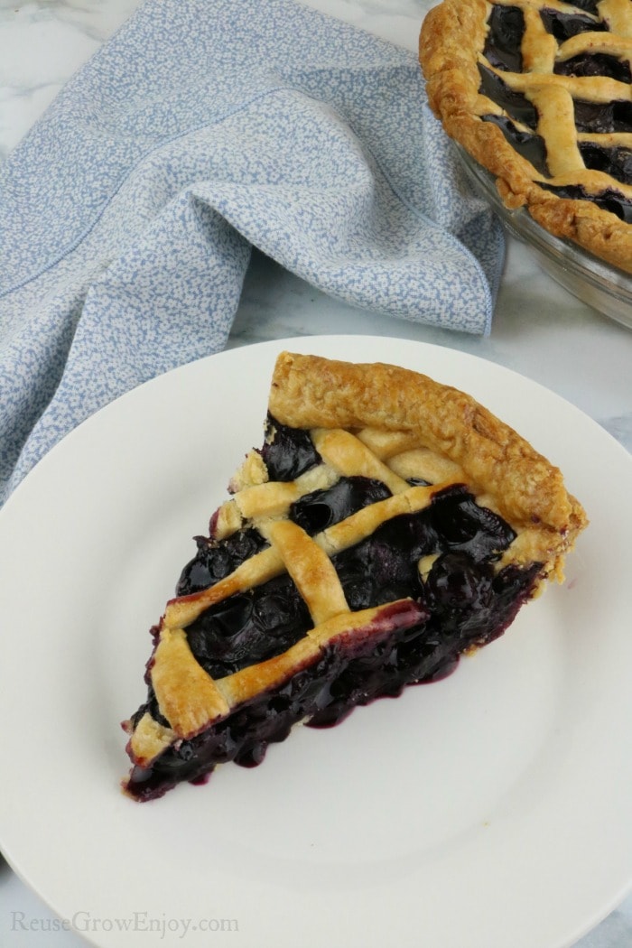 Slice of blueberry pie on white plate