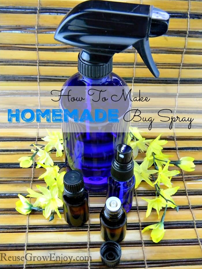 Homemade Bug Spray