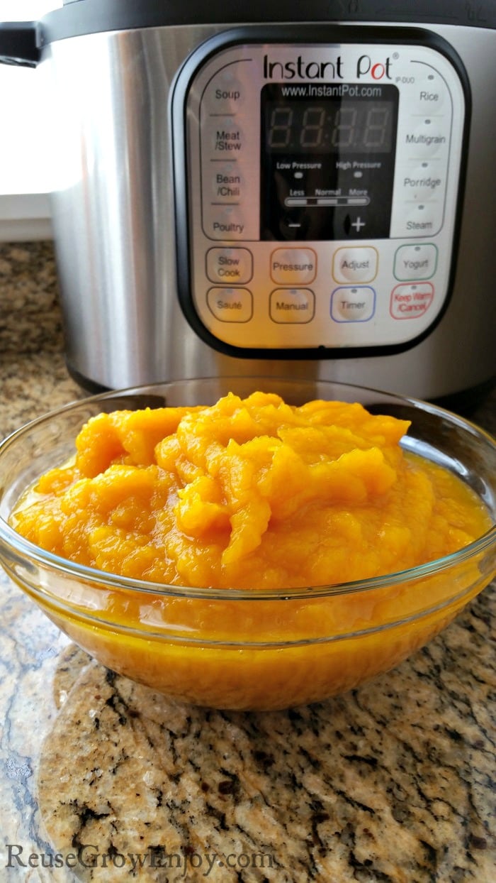 Bowl of fresh pumpkin puree with a Instant Pot in the background.