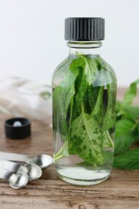 Small glass bottle with black cap filled with mint leaves floating in clear liquid