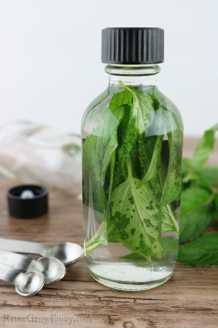 Small glass bottle with black cap filled with mint leaves floating in clear liquid