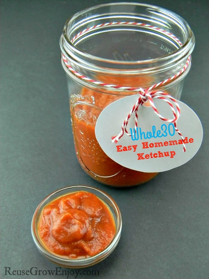 Whole30 Ketchup Easy & Homemade!