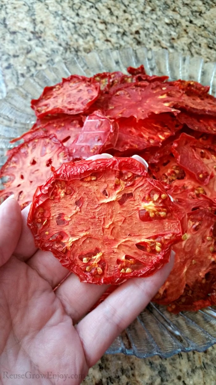 Hand holding dehydrate tomatoes with plate full in the background