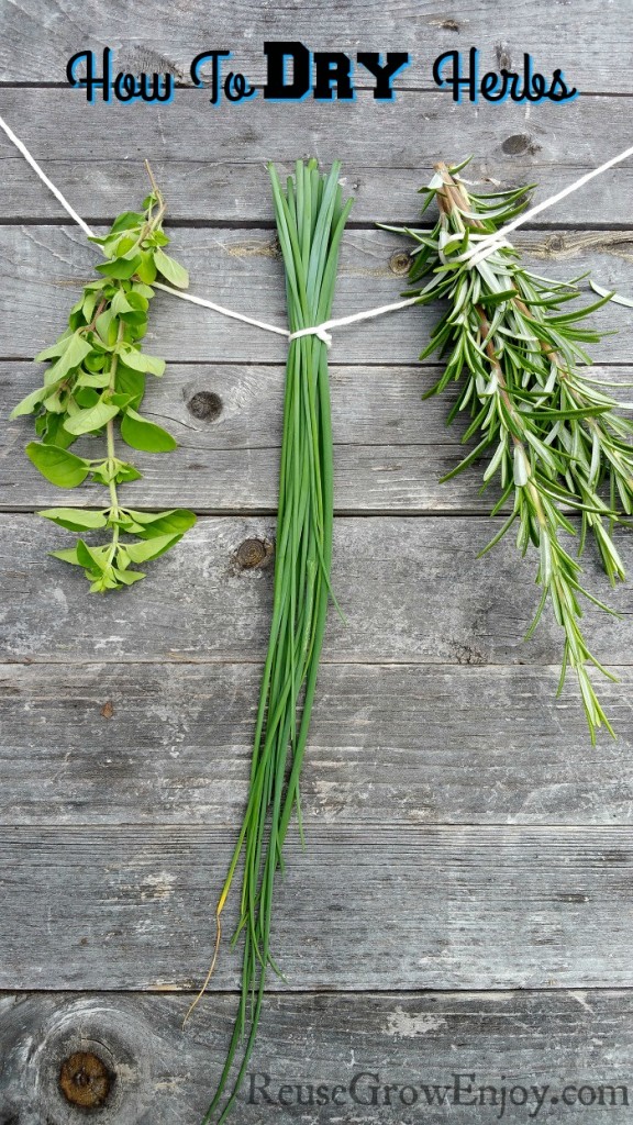 How To Dry Herbs Six Different Ways Reuse Grow Enjoy