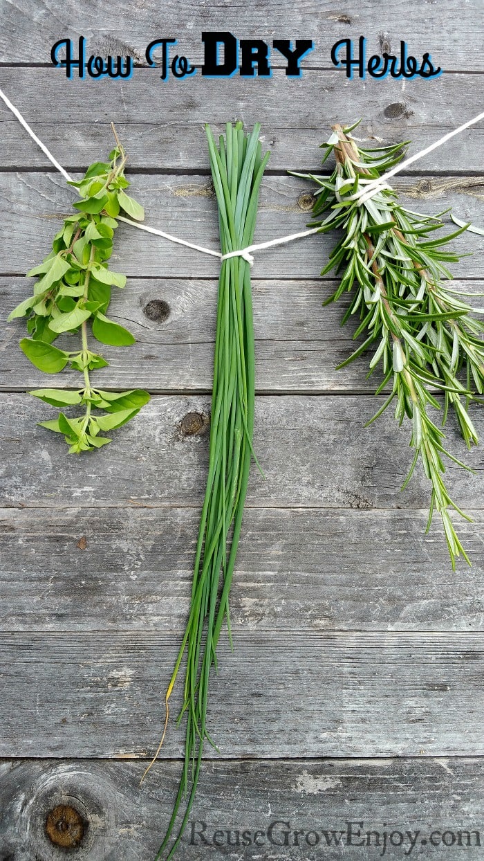 How To Dry Herbs