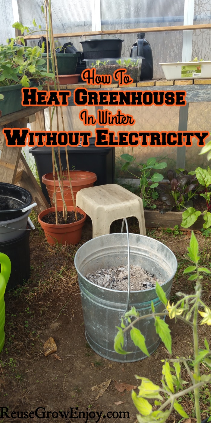 Ash bucket in greenhouse with text overlay at top that says How To Heat Greenhouse In Winter Without Electricity