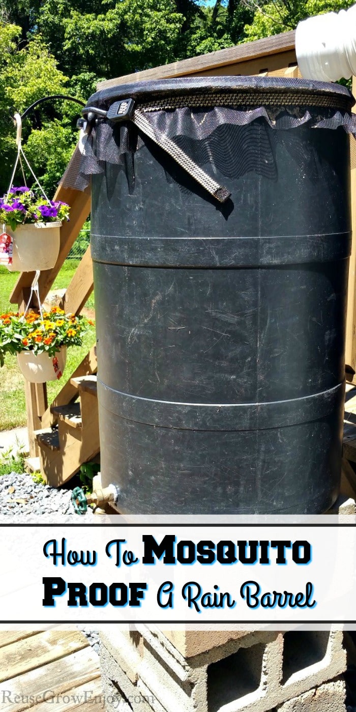 Do you have issues with mosquitoes in your rain barrel? I am going to show you how to mosquito proof a rain barrel! So much cheaper than a new one!