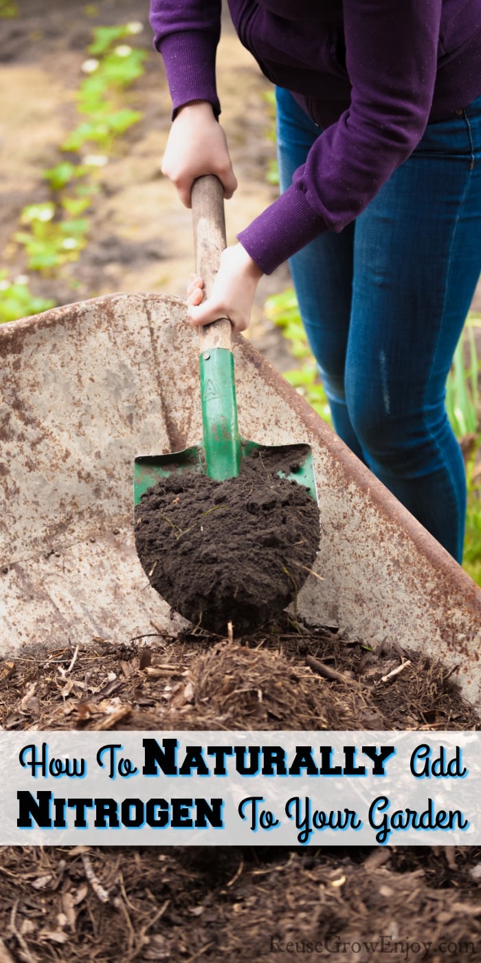 Person mixing compost in wheelbarrow. Text overlay in middle that says How To Naturally Add Nitrogen To Your Garden