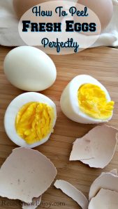 Have you ever had to peel a farm fresh egg? Super HARD to do! Well that is until I found a WONDERFUL trick! Check out this post on How To Peel Fresh Eggs Perfectly!